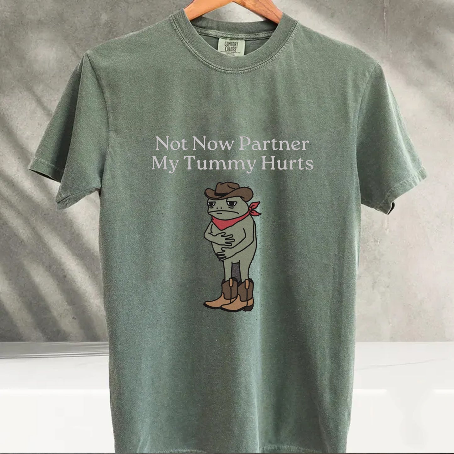 Not Now Partner My Tummy Hurts T-shirt