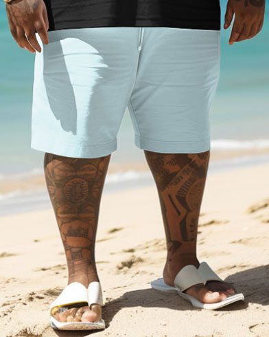 Men's Plus Size Hawaiian Colorblock Coconut Tree Print T-Shirt Shorts Set