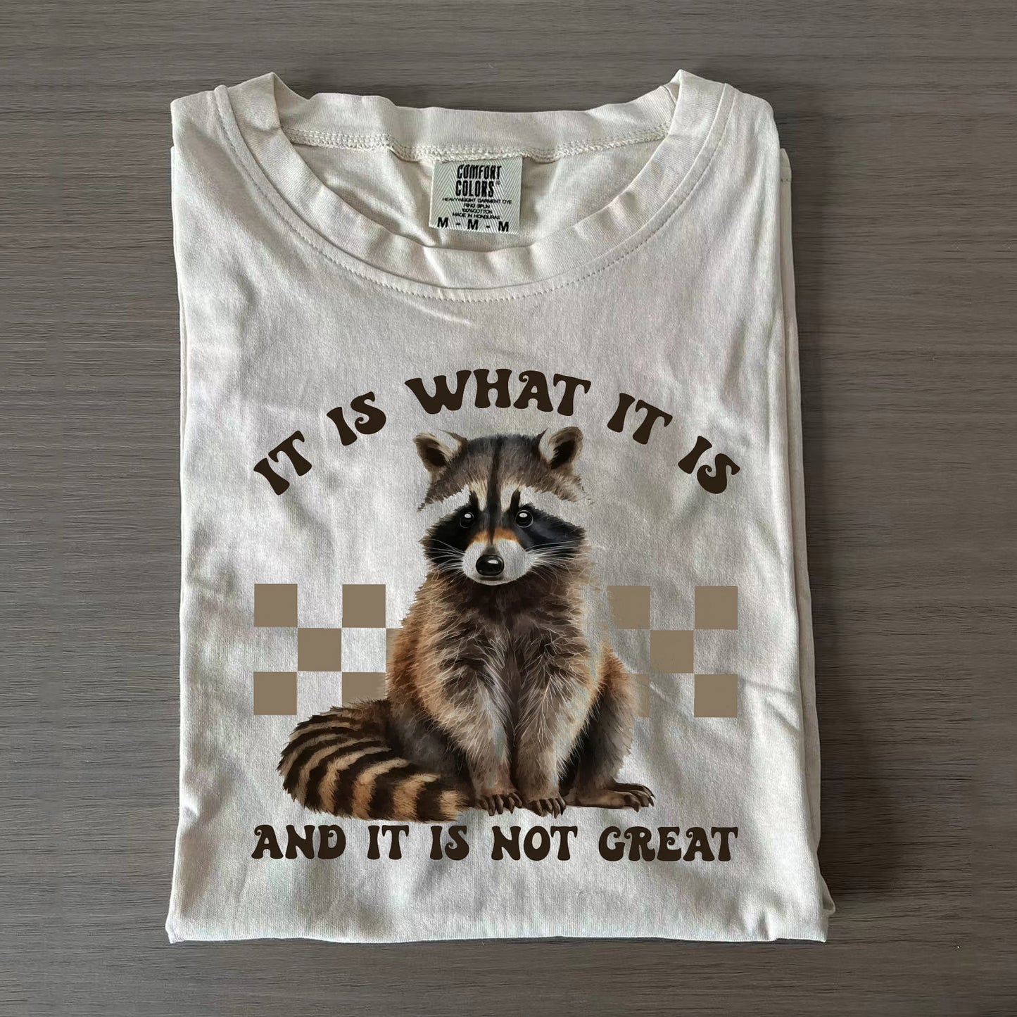 It Is What It Is and It Is not Great T-Shirt