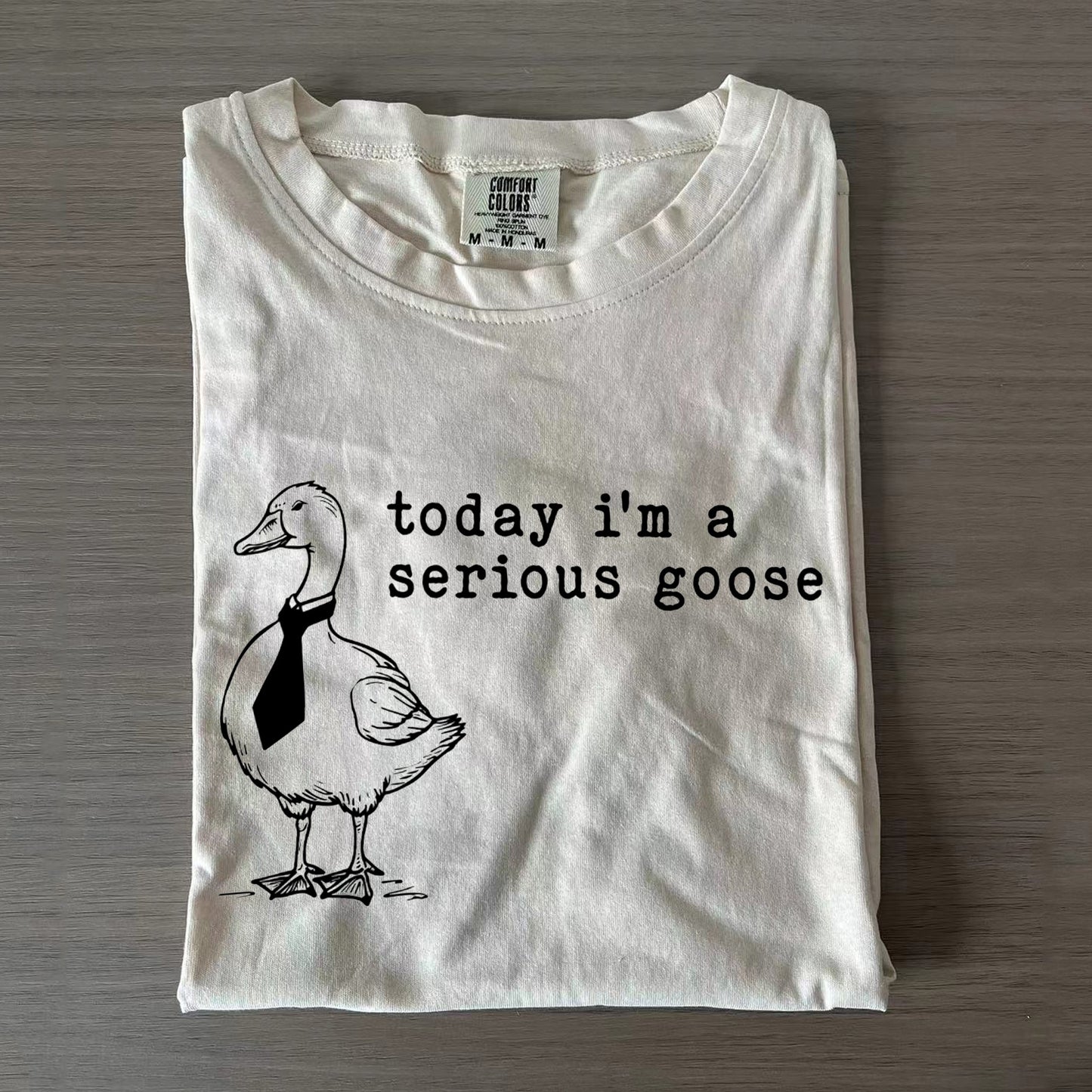 Today I'm a Serious Goose T-Shirt