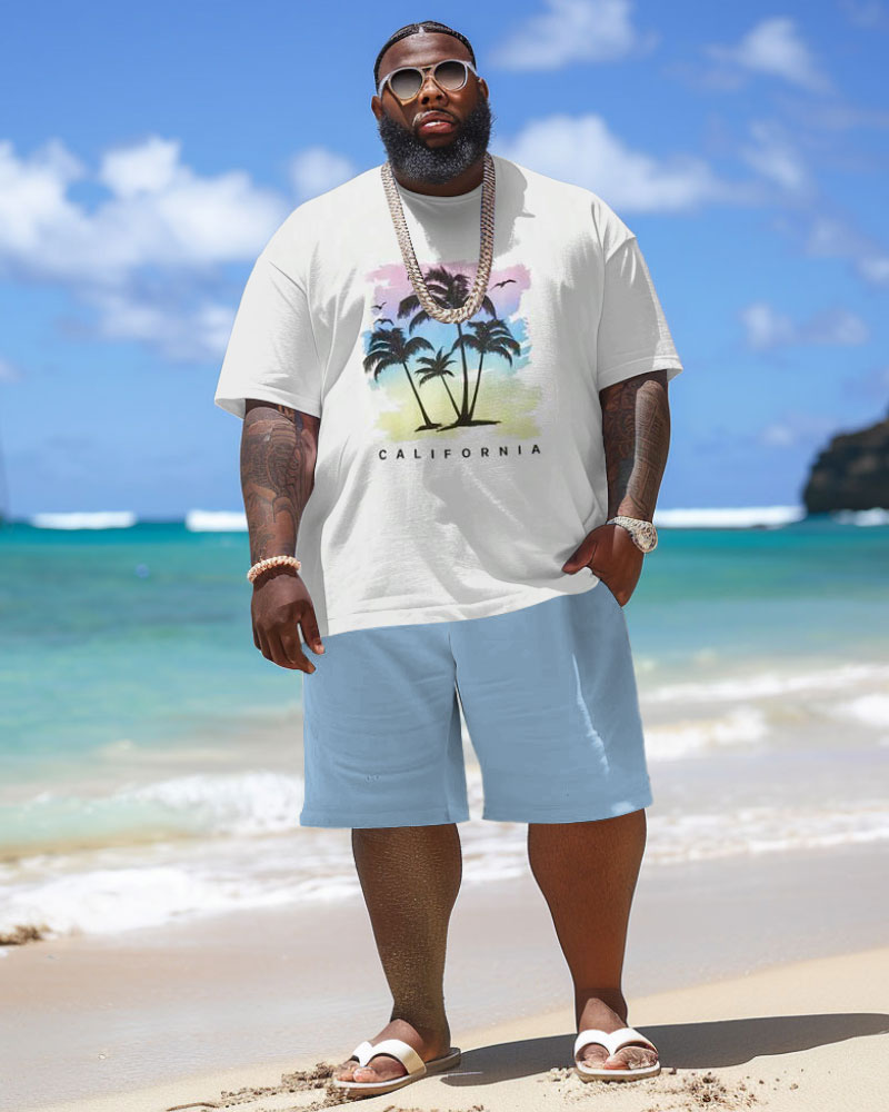 Men's Plus Size Hawaiian Gradient Coconut Tree Print T-Shirt Shorts Suit