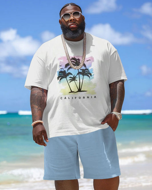 Men's Plus Size Hawaiian Gradient Coconut Tree Print T-Shirt Shorts Suit