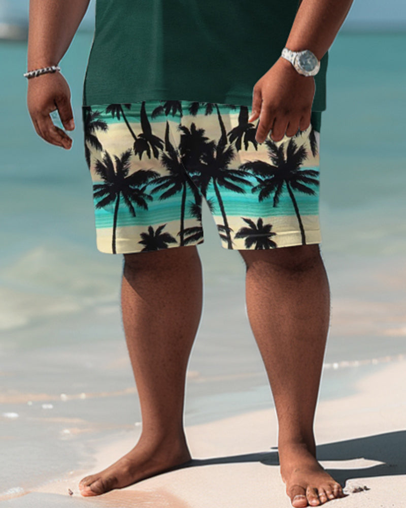 Hawaiian Coconut Tree Pattern Colorblock Shorts Men's Plus Size Set